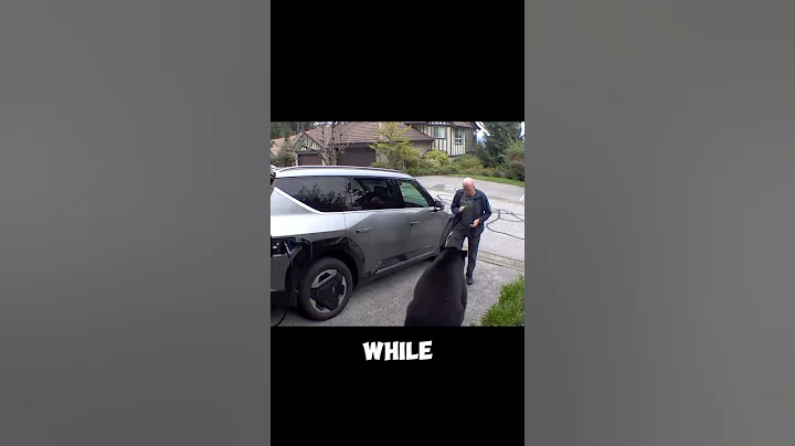Save you life like this | black bear encounter thumbnail