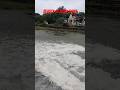 Heaven in Gir 😍 | River Fall & Harneshwar Mahadev Temple” viral shorts @desinitavlog
