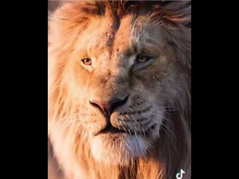 كلكم تحت الانظار هذا انا