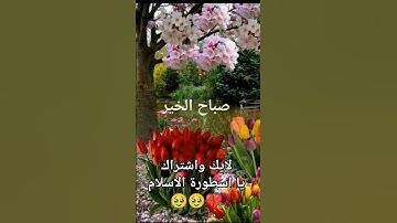 شباب اريد دعمكم 🥹 #القارئ_محمد_هشام_حسن #تلاوة_هادئة #اية_الكرسي #explore #اكسبلور 💔
