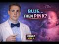 Cyanosis But Normal Heart and Lungs? - CRASH! USMLE Review Series