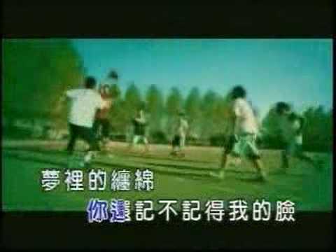 王强 - 花兒又愛上忘情草