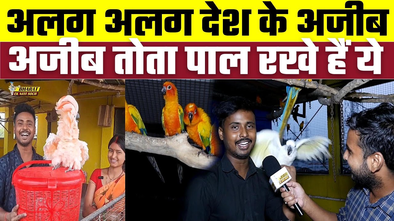 अलग अलग देश के अजीब-अजीब तोता पाल रखे हैं ये | Bharat Ek Nayi Soch