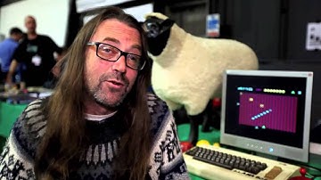 JEFF MINTER: THE ORIGINS OF LLAMAS AND SHEEP (FB2B)
