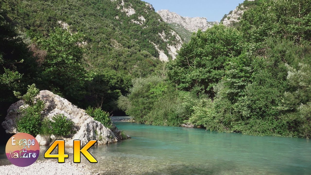 musica para dormir profundamente Calming forest river sound-Soothing relaxing sound of water-Forest bird song-Sleep Relax - 4K video