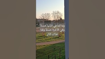 #قرآن #سورة_البقرة #surahalbaqarah #قران_كريم #البقرة #سورة #اكسبلور #المصحف #tilawat