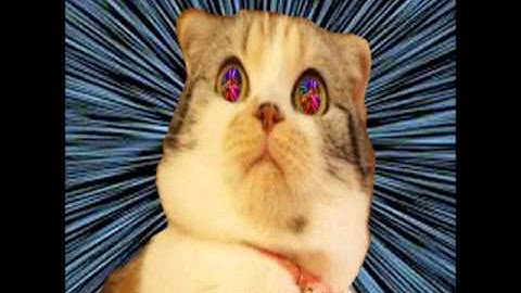 The Horror of it All - Waltech PGD Original