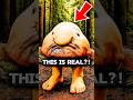 4 Cursed Animals That Actually Exist (You Won’t Believe #4)