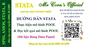 STATA Hướng dẫn thực hiện mô hình POOL & Đọc kết quả mô hình POOL (Dữ liệu Bảng Data Panel) 02102023