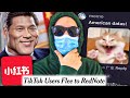 Chinese TikTok RedNote Is Completely Unhinged 