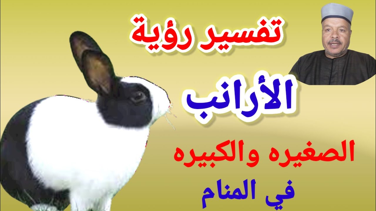 تفسير رؤية حلم الأرانب الصغيره والكبيرة في المنام /أبوزيد الفتيحي