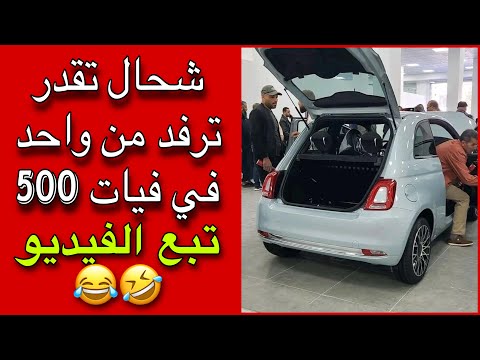 كم من راكب تستطيع أن تحمل داخل سيارة فيات 500 للترفيه فقط 