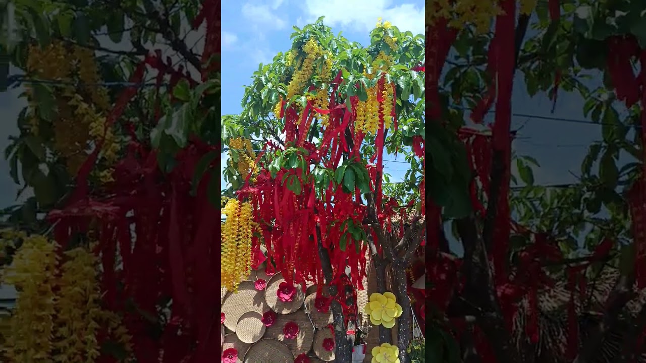 Mẹ mẩu tiền  Giang  ng 14  quá vui