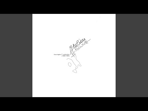 Windopen — Lunedi mattina presto