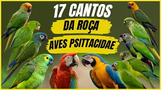 17 Cantos de Aves da Família "Psittacidae" que Despertam Lembranças Inesquecíveis do Campo!