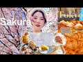 Tokyo vlog 🇯🇵 Sakura in April 🌸 Starbucks Reserve Tokyo, Meguro River, Chidorigafuchi park, Ueno Zoo