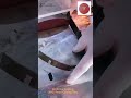 Resin Cutting Disc for Die Cutter Blade