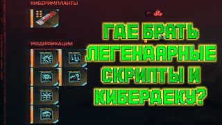 ЛЕГЕНДАРНЫЕ СКРИПТЫ И КИБЕРДЕКА ГДЕ БРАТЬ? КАК СОЗДАВАТЬ? КИБЕРПАНК 2077, CYBERPUNK 2077