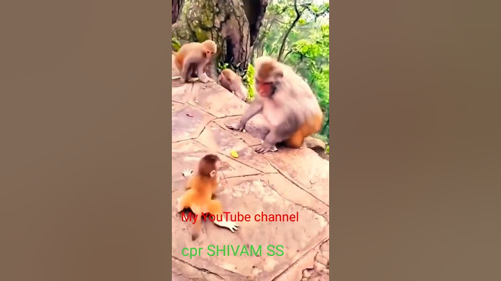Are baap re kya kar rahe ho tum