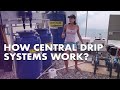 EVERYTHING about CENTRAL DRIP SYSTEM - King Tower Farm | Angie Mead King