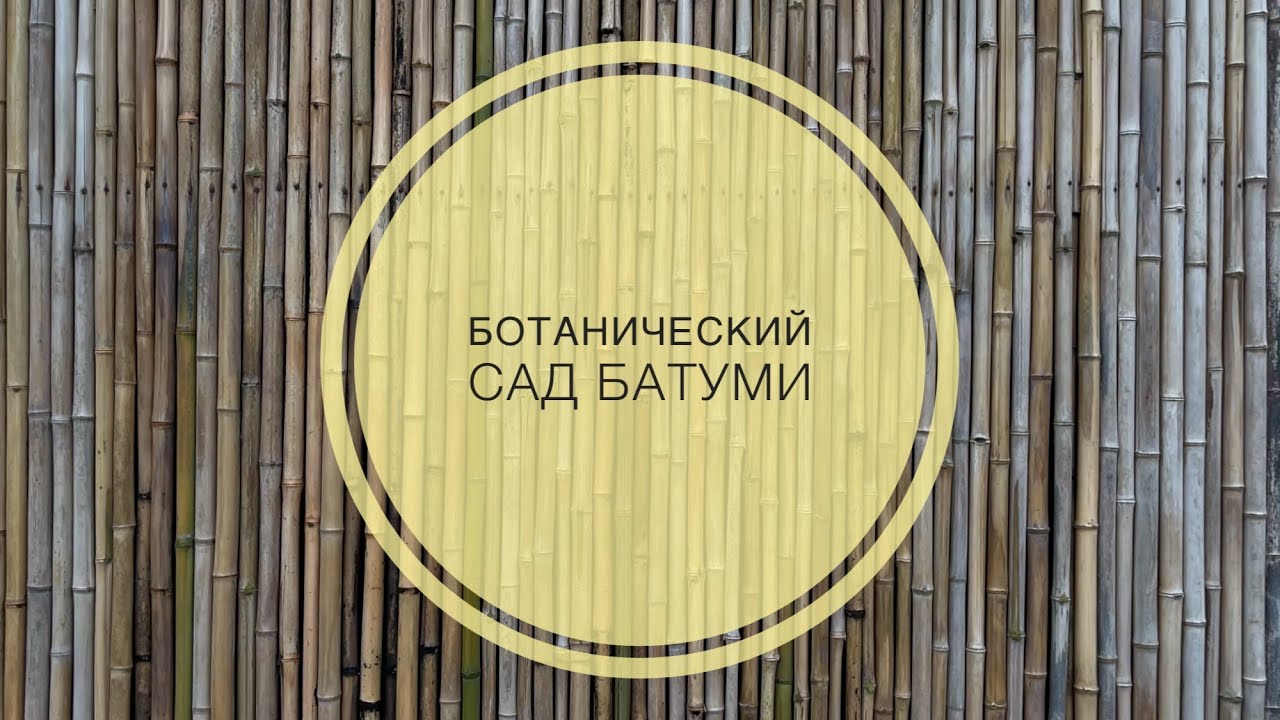 Ботанический сад Батуми