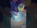 تحيا الزوالي