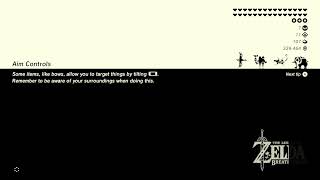 Breath of the Wild - Testing Stream Quality