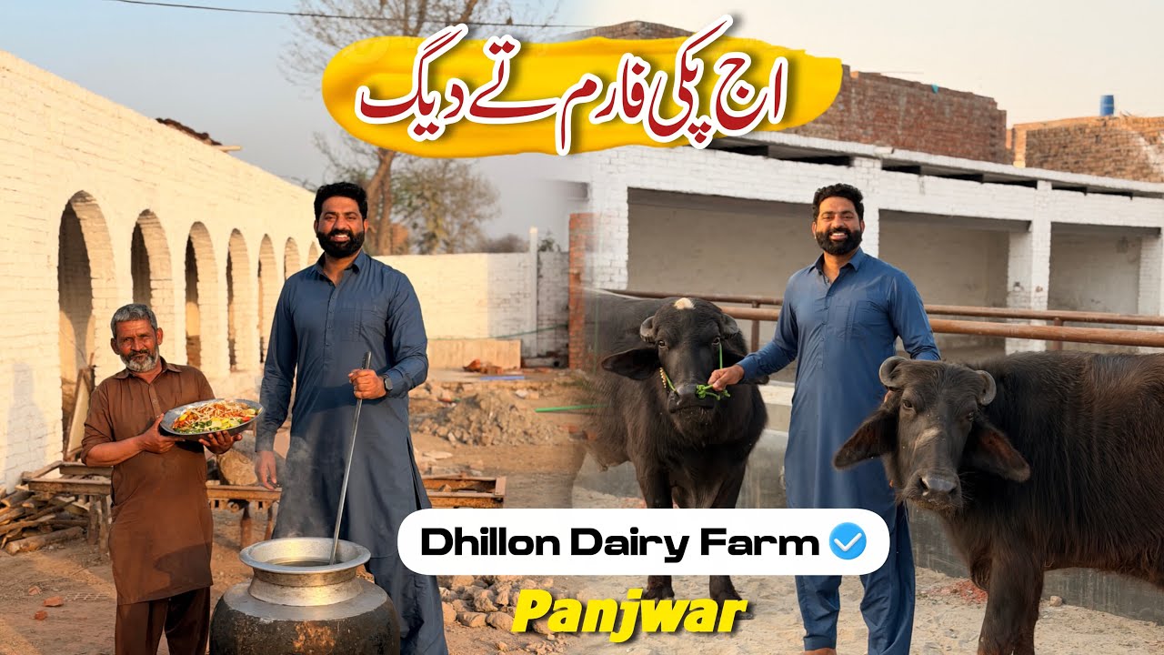 Dairy Farm Te Iftari & Tree Plantation 🌳 | 5911 Jhotta da Laga Dil | Nasir Dhillon 