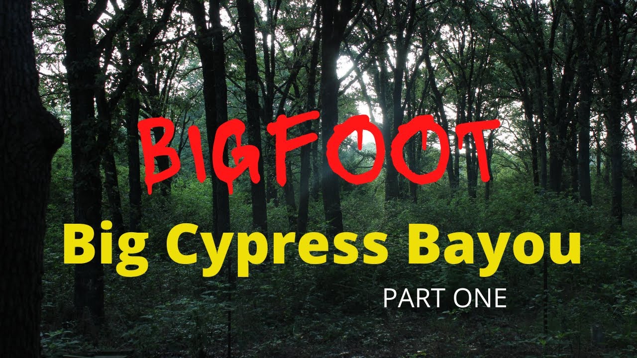 I travel to The Big Cypress Bayou in search of BIGFOOT