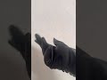 Арт: 2900308149