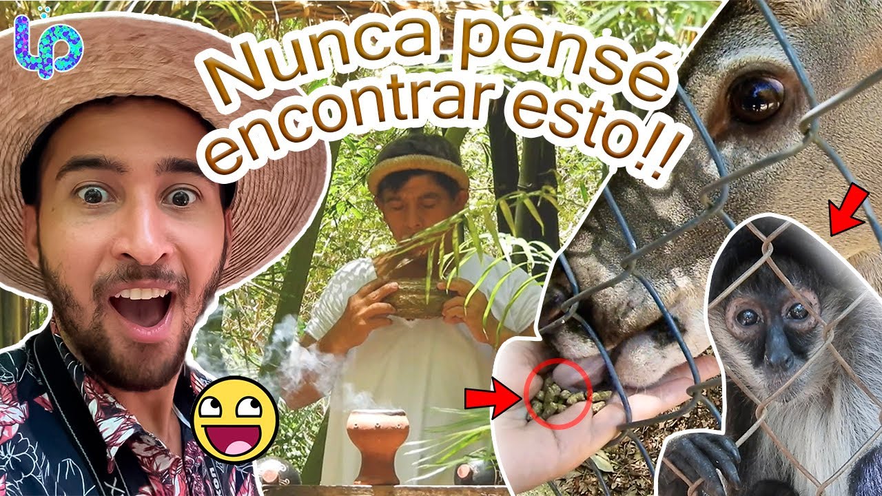 😃CONOCIENDO CHOCO STORY 🇲🇽 UXMAL / MÉXICO / YUCATÁN / MIRADOR MUNA