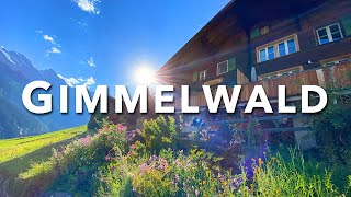 GIMMELWALD SWITZERLAND | Beautiful Swiss Village Walking Tour