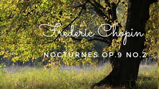 Chopin | Nocturne Op.09 No.02 | Шопен | Ноктюрн Op.9 № 2 | Челюскинский|Тарасовка| Чекизово