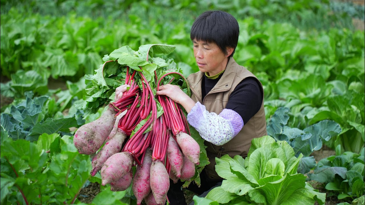 拔出一个个大红萝卜，做5道福建家乡味，Q弹咸鲜的菜头粿萝卜烙｜Large red radish