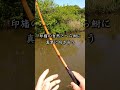 大物が潜む印旛沼で３０日間釣りをした愛と涙のDQNメント 本編はコメント欄から！