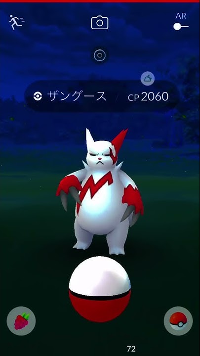 色違いリグレー Youtube