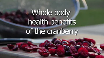Whole Body Health Benefits of the Cranberry