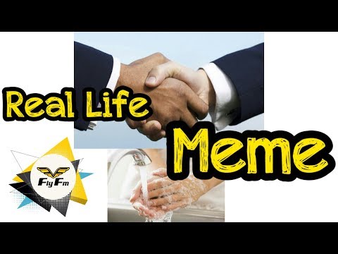 shake-hand-wash-hand-meme-:-fly-bits