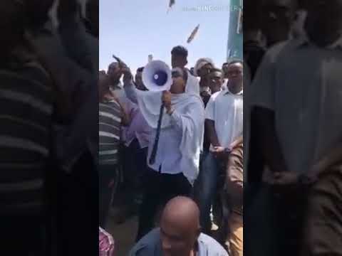 الكنداكه السودانيه