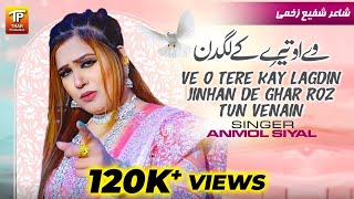 Ve O Tere Kay Lagdin Jinhan De Ghar Roz Tun Venain | Anmol Siyal | (Music Video) | Thar Production