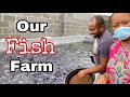 We are starting a FISH FARM?....