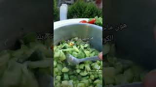 مفركة كوسابالبيض اطيب اكلة واطرا اكلة ع معدة