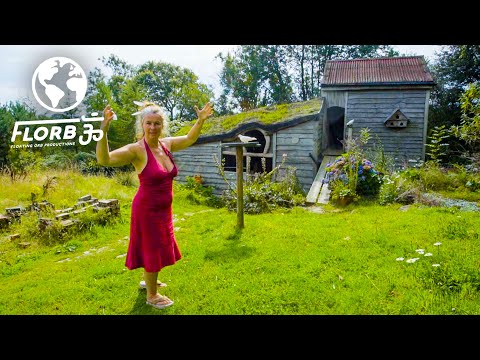Video: Cottage Near The Capital: Dream Or Reality?