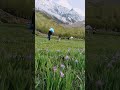 #himalayan #travel #shortvideo