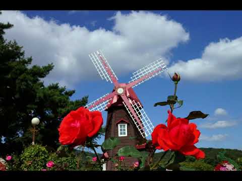 Mathias Fritsche - Rose (Epic Orchestra)