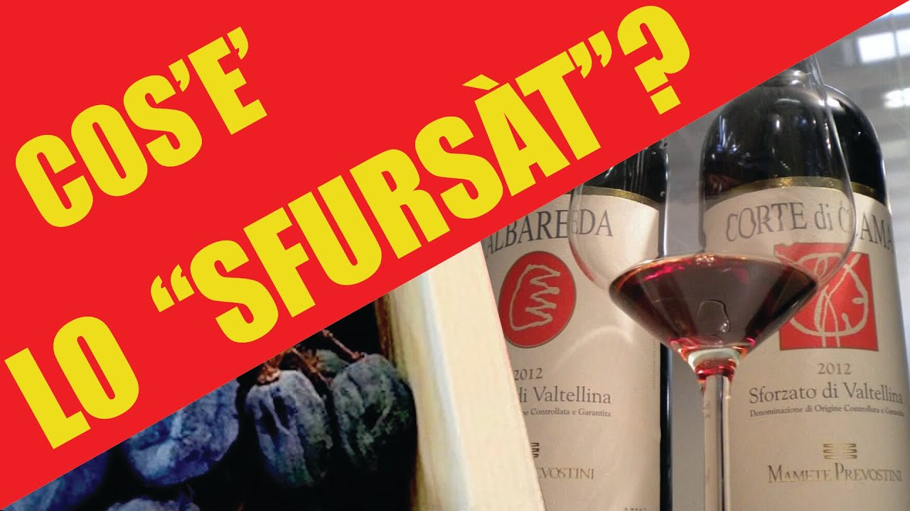 Che cos'è lo Sfursàt o Sforzato di Valtellina DOCG?