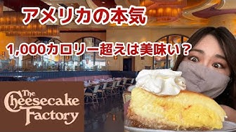 チーズケーキ Youtube