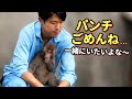  【パンチくん🐵】飼育員さん辛そう💦こんなに慕ってくる子を降ろすのはそりゃ嫌でしょ！