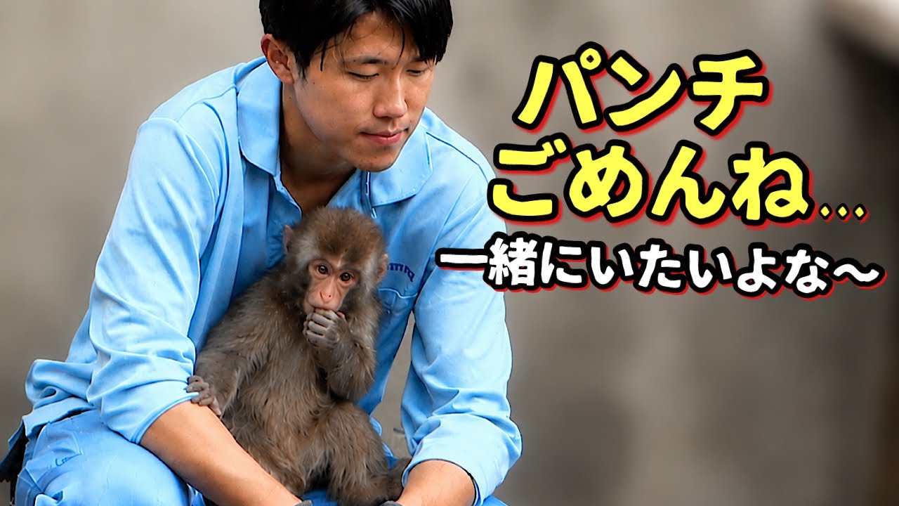 Heartbreaking! 💔 Zookeeper Can't Bear to Let Go of This Cute Baby