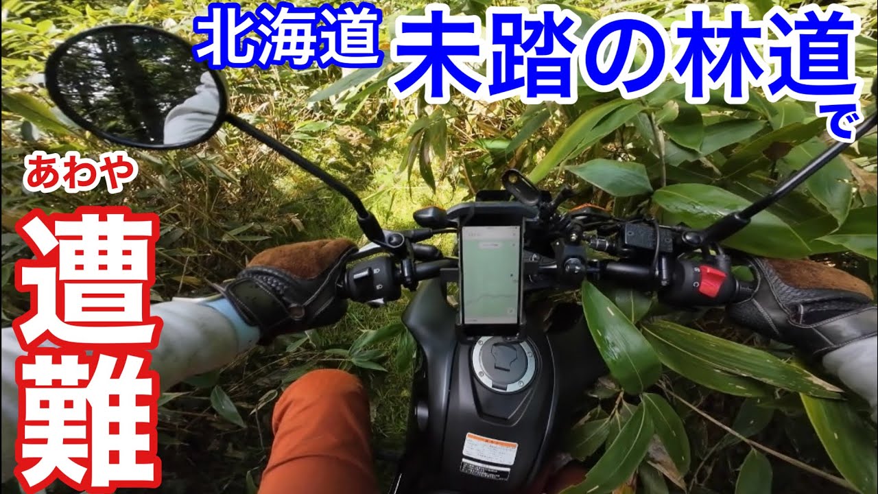 【北海道 酷林道】旧道の駅のキノコ王国の傍にある林道がマジでヤバかった